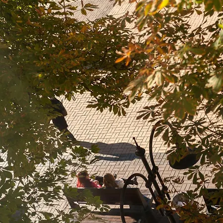 Vitosha Blvd - Family And Friends *